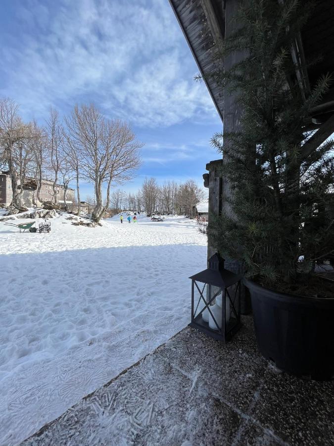 Chalet Burja At Vogel Mountain - Cable Car Access Or Hiking - Not Reachable With Car ボーヒニ エクステリア 写真
