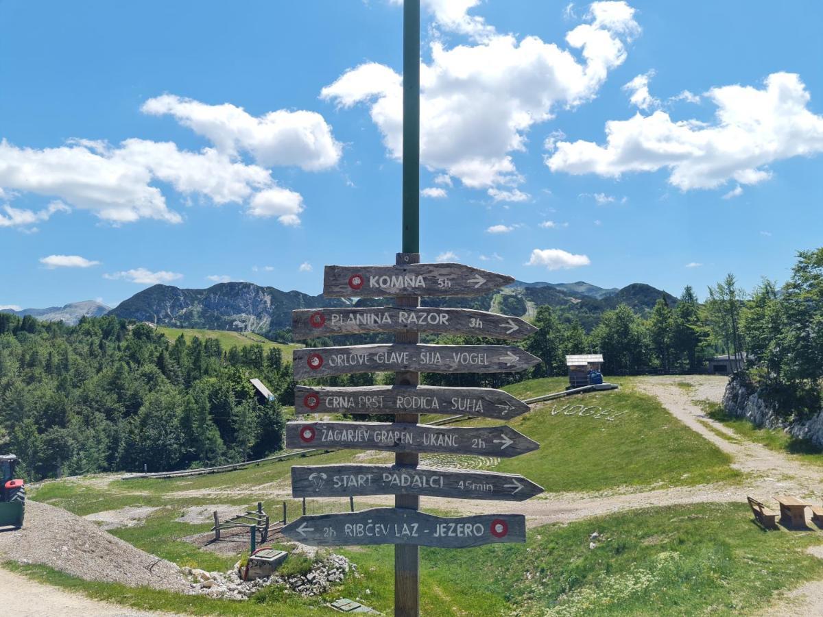 Chalet Burja At Vogel Mountain - Cable Car Access Or Hiking - Not Reachable With Car ボーヒニ エクステリア 写真