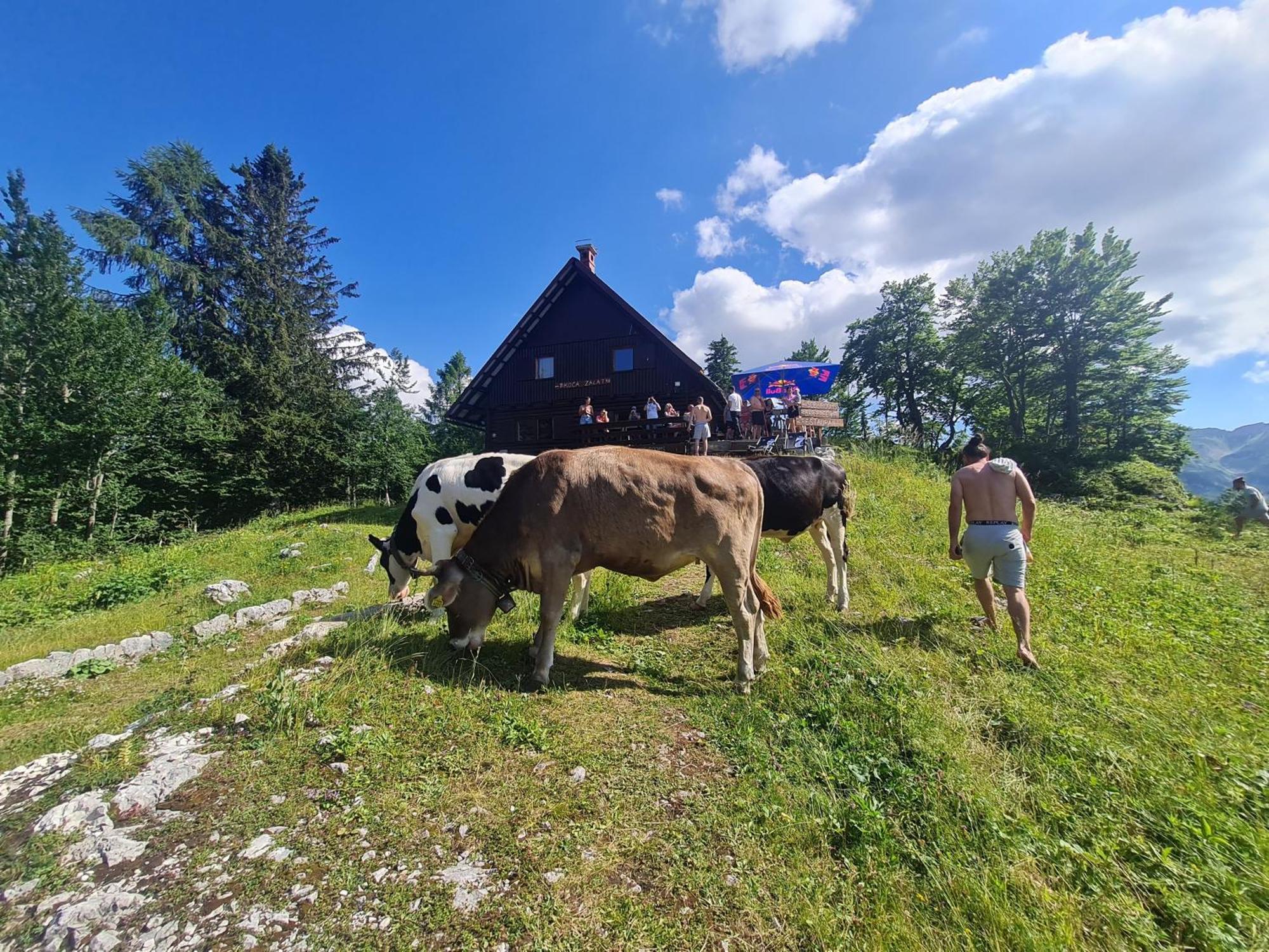 Chalet Burja At Vogel Mountain - Cable Car Access Or Hiking - Not Reachable With Car ボーヒニ エクステリア 写真